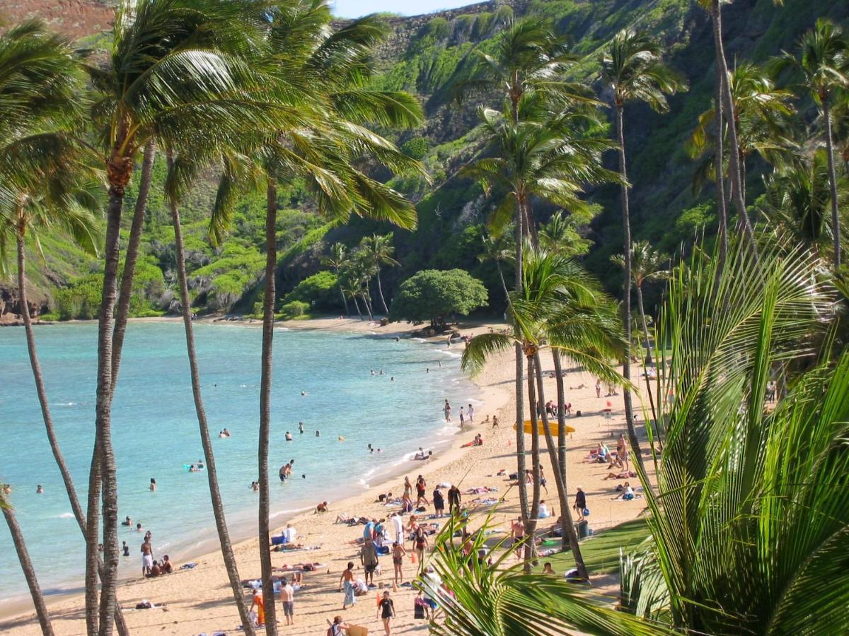 Free Parking, Pool, Sauna, Spa, Wifi, Bbq, Ac - Waikiki Banyan Honolulu Kültér fotó