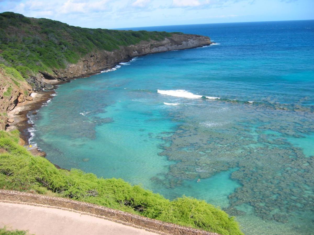 Free Parking, Pool, Sauna, Spa, Wifi, Bbq, Ac - Waikiki Banyan Honolulu Kültér fotó