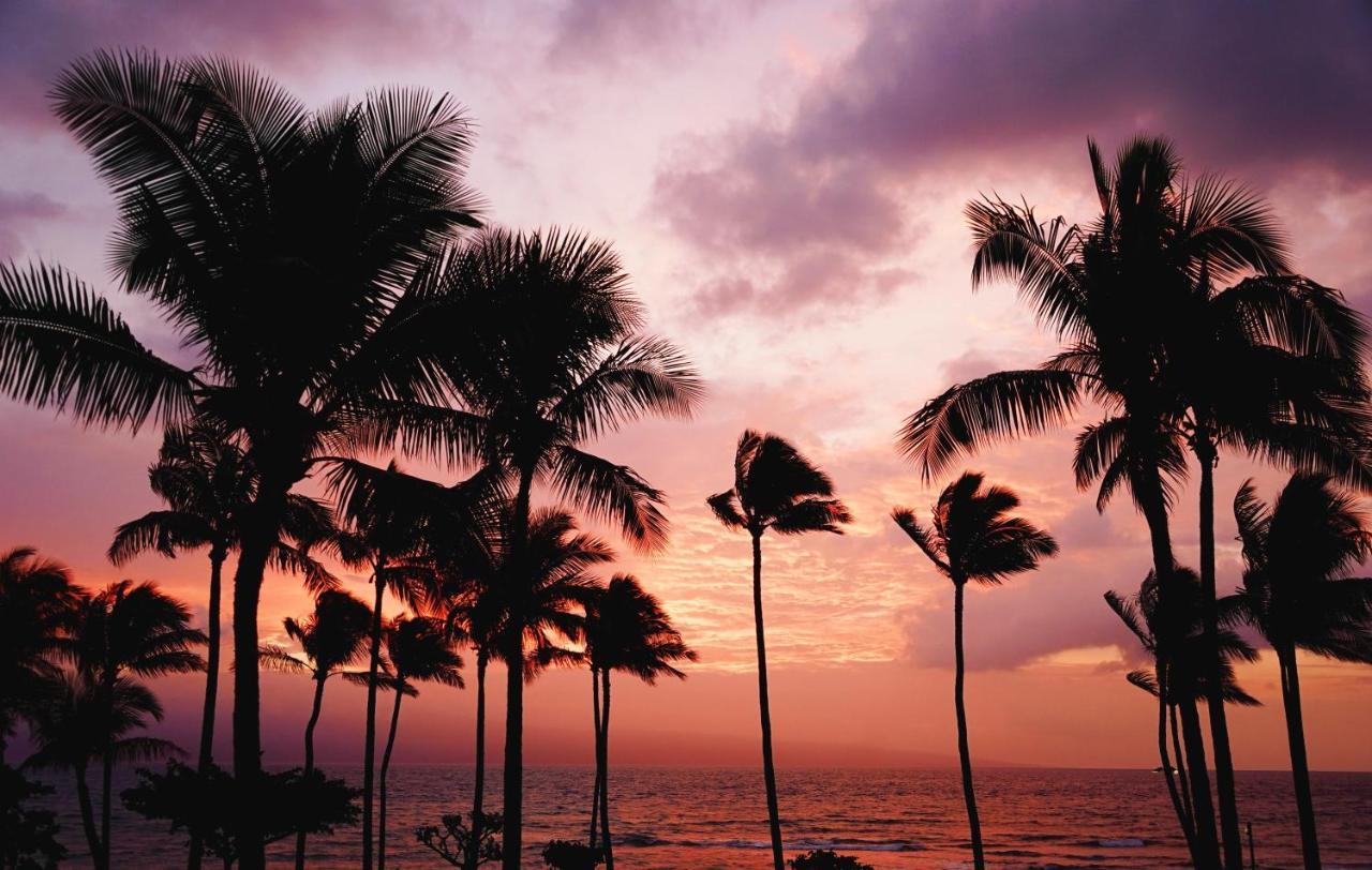 Free Parking, Pool, Sauna, Spa, Wifi, Bbq, Ac - Waikiki Banyan Honolulu Kültér fotó